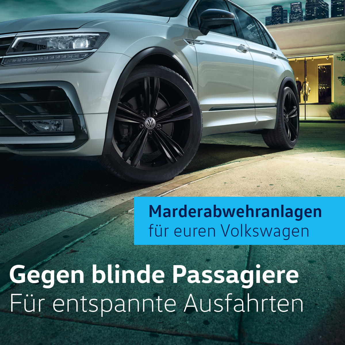 Marderabwehranlage